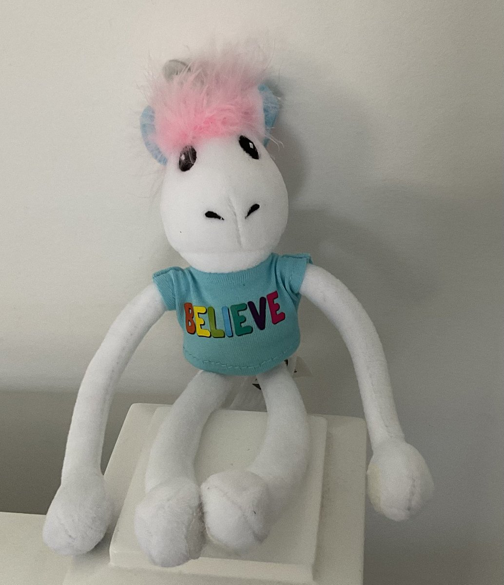 liz stewart tweet media