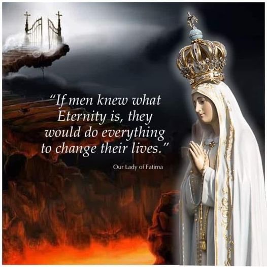 liz stewart tweet media