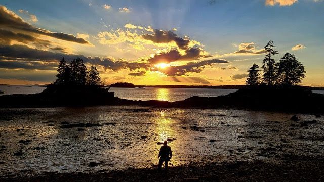 mainemonitor's tweet image. Today's photo of the day is of Lookout Point, in Harpswell. Thank you, Jym St. Pierre, for this beauty. 
#Harpswell #LookoutPoint #Photooftheday #photo #photographer #naturephotography #Maine