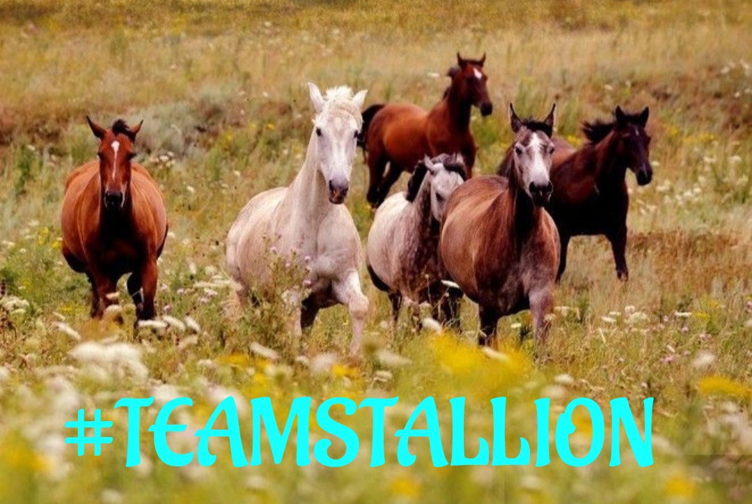 #TEAMSTALLION @italianostyle2 @Nathyan1997 @MarEthr @BrettMGWV @DianeDaQueen @MarthaCandia21 @R3_Adv @Meggy_Lov @moni_dollnature @ginestarros @JIMENAC__ @Spencerjames211 @MarcelaErcia @R1_Adv @monicampon @doc_mazz @lumpie125 @MARTHA_CAN2 @jasmine50012486 @bluea125 @Siogo61