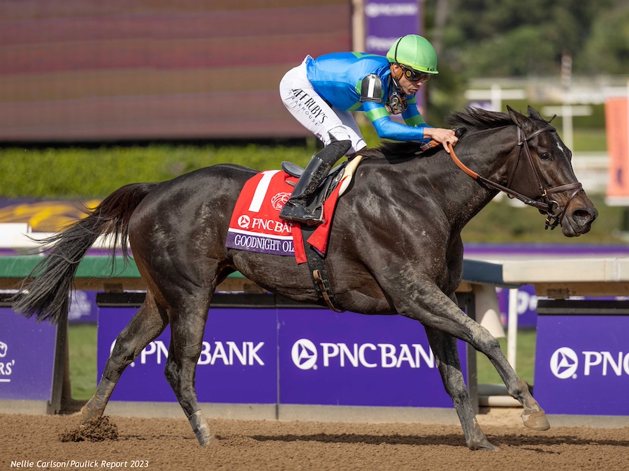 She may now be campaigned by @jstewartky but GOODNIGHT OLIVE has been a #FirstRowPartners show since she was a baby (scoped out by @LCrow11). Hear Steve Laymon’s story, from @PreaknessStakes to @BreedersCup and so much more! inthemoneypodcast.com/the-owners-box…