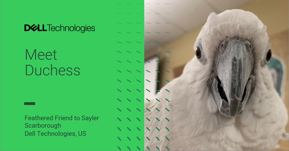 Jennifer Jones Newbill (she/her/hers) ✨ tweet media