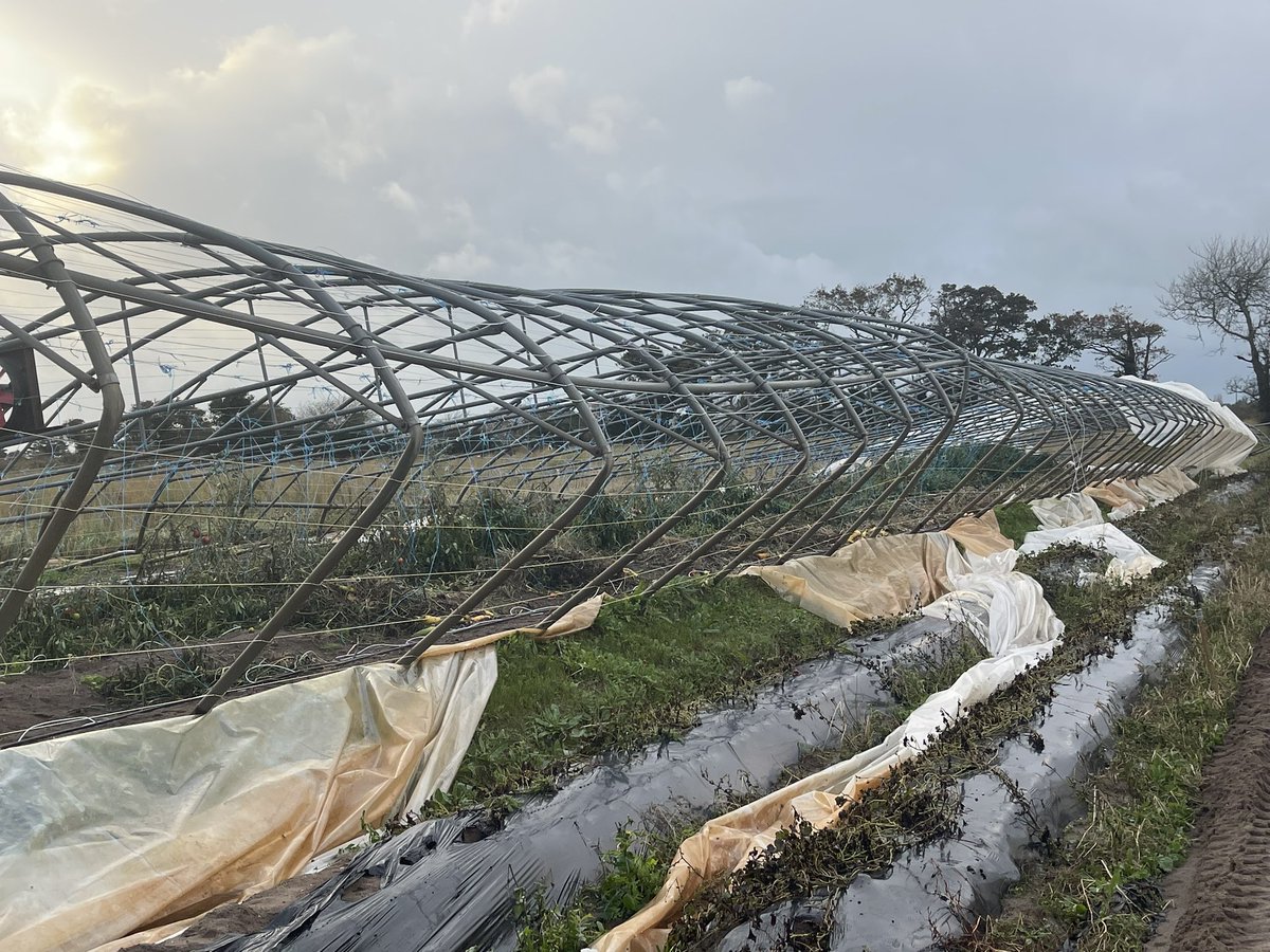 Visite d exploitation touchée par la tempête Ciaran dans la Manche. @Agri_Normandie @fnsea50 @prefecture50 @StTRAVERT mobilisés pour accompagner dans la mesure du possible les agriculteurs! Des situations terribles. Bon courage à tous pour la remise en état des exploitations.