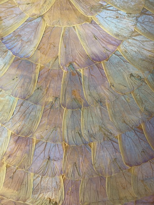 This world is not the world I expected in 2023. Somehow believed there would be PEACE, food &amp; water 4<a href="/tag/greed"class="tags"><span>#greed</span></a><a href="/tag/gazaholocust"class="tags"><span>#gazaholocust</span></a>