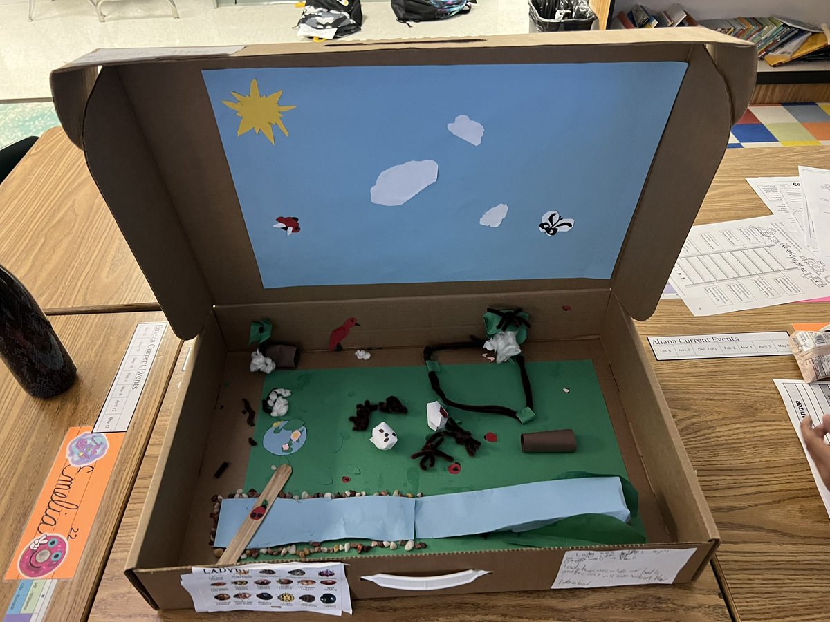 OwensOgres's tweet image. Exploring our ladybug museum and providing constructive feedback. #scientistsatwork #learningshouldbefun