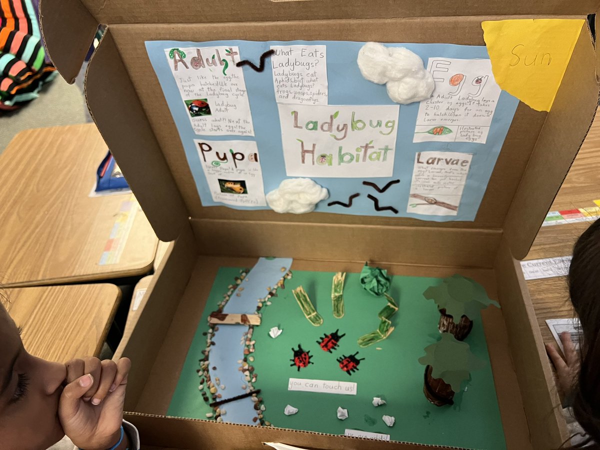 OwensOgres's tweet image. Exploring our ladybug museum and providing constructive feedback. #scientistsatwork #learningshouldbefun