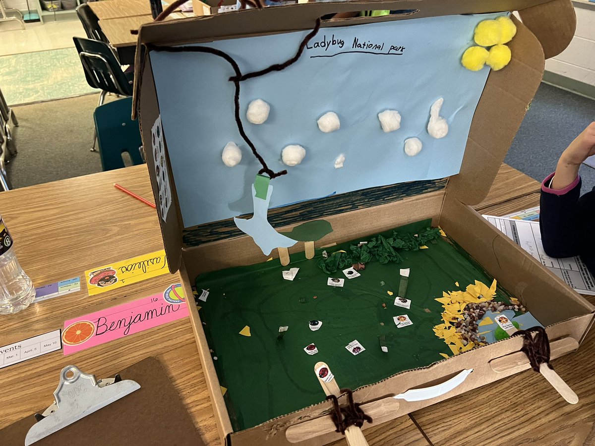 OwensOgres's tweet image. Exploring our ladybug museum and providing constructive feedback. #scientistsatwork #learningshouldbefun