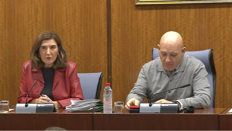 EmpleoJunta's tweet photo. Blanco informa en el @ParlamentoAnd que los presupuestos contemplan 335 millones para incentivos al empleo y la competitividad empresarial.
Los fondos de #EmpleoAND ascienden a 1.252 millones, destinados a afianzar el mercado laboral y las empresas.
https://t.co/Uujbi5a1HV https://t.co/dZrLpvSPiD