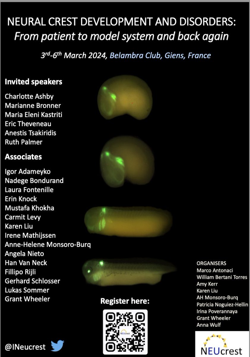 Neural Crest Development and Disorders: from Patient to Model System and Back Again, March 3 - 6, 2024, Giens, France
neucrestfinalconference.org

#zebrafish