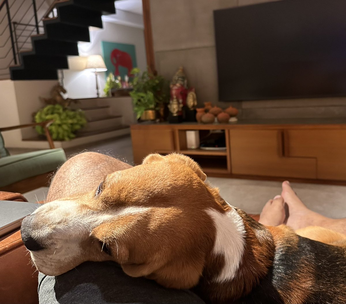 Bhavish Aggarwal tweet media