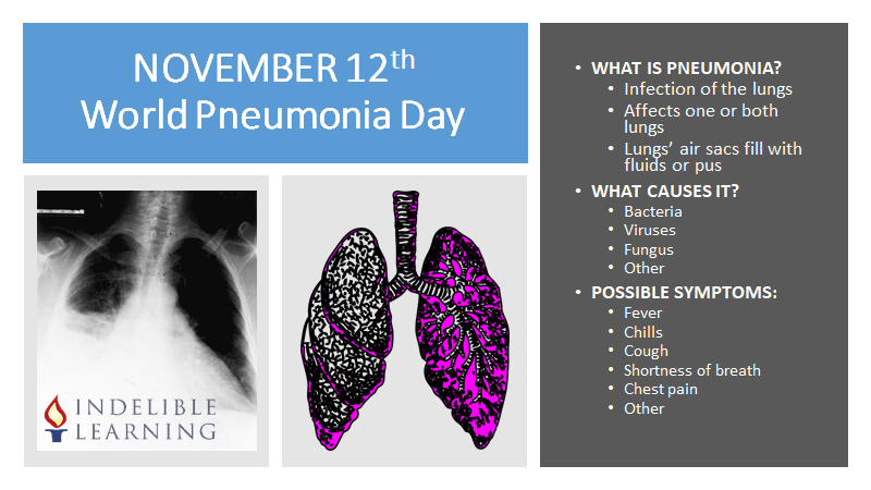 Indl_Learning's tweet photo. Raising AWARENESS
#PneumoniaDay #WorldPneumoniaDay #AwarenessMatters #pneumoniaawareness

Take care of your lungs.
Prevent infections as possible. 

#stoppneumonia #lungs #healthcare #health #infection   #health #pneumoniaday #IndlLearning #healthacademy #medicalacademy https://t.co/DCjN9V6tvV