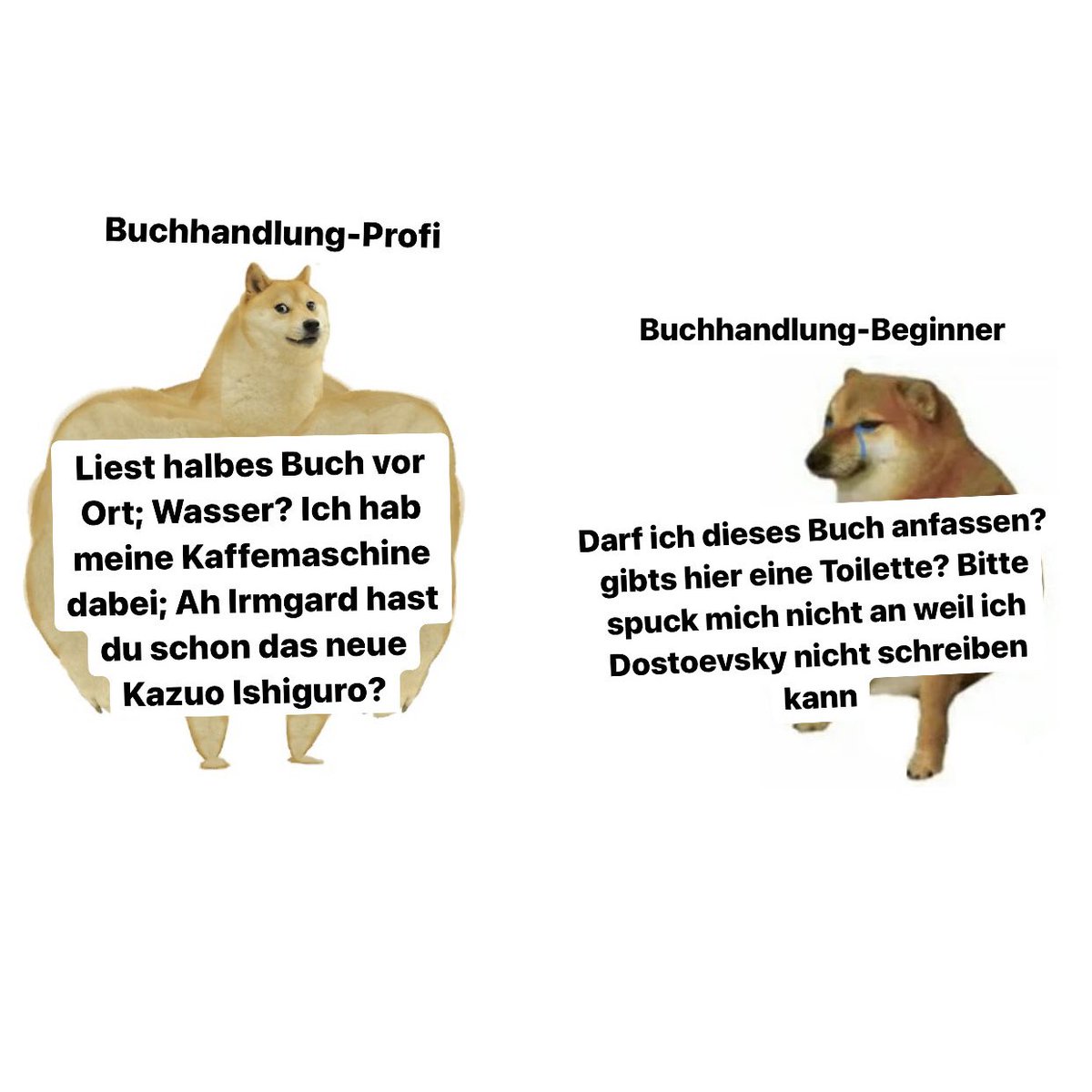 Max Beck 🇪🇺 (@beckmaxi) on Twitter photo 