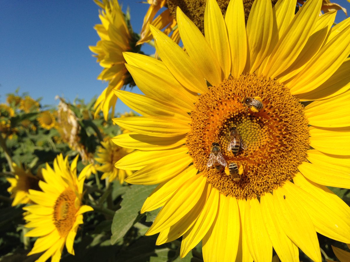 Our photo was selected by a panel of judges for the Federal Lab Consortium calendar. The Pesticide Fate Research Group photo by Laura Ward will represent the Department of Interior. You can order one for your wall for free federallabs.org