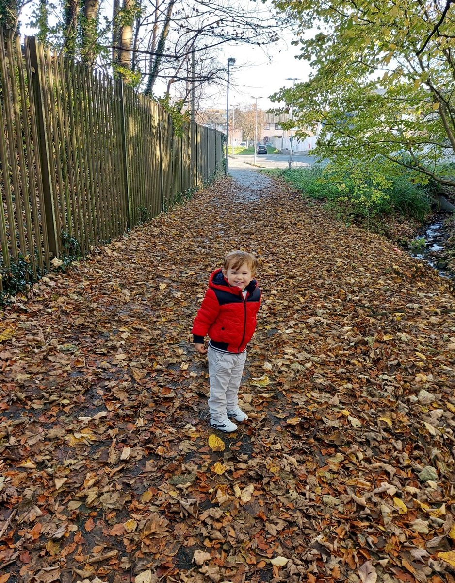 Dr Emily Cooper tweet media