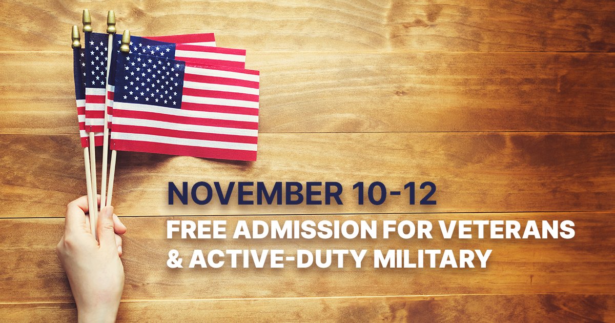 On Veterans Day Weekend (Nov. 10-12), The Boca Raton Museum of Art is proud to offer free admission to veterans and their accompanying party. In addition, we extend this courtesy to the nation's active-duty military and their families, including the National Guard and Reserve.