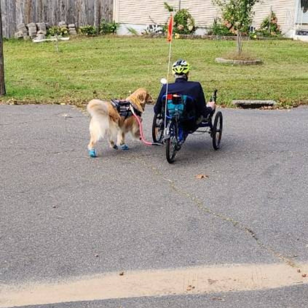 ECADServiceDogs's tweet image. Today, we share a milestone from #ProjectHEAL grads Brian and Service Dog Passion, AKA &quot;Pash.&quot; Brian says, &quot;I would never have done this without Passion.&quot; None of this would have been possible without YOUR support. Thank you. #servicedogsforveterans #vietnamvet #tobeofservice