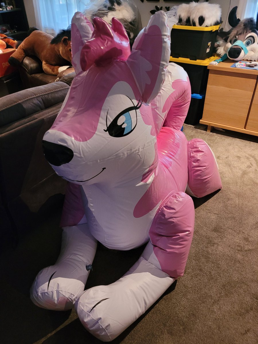 EclipseDurr's tweet image. Inflated the husky for the first time! 

Nothing beats new toy smell!