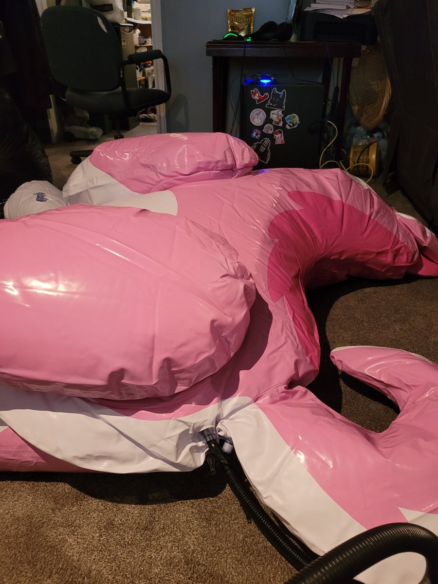 EclipseDurr's tweet image. Inflated the husky for the first time! 

Nothing beats new toy smell!