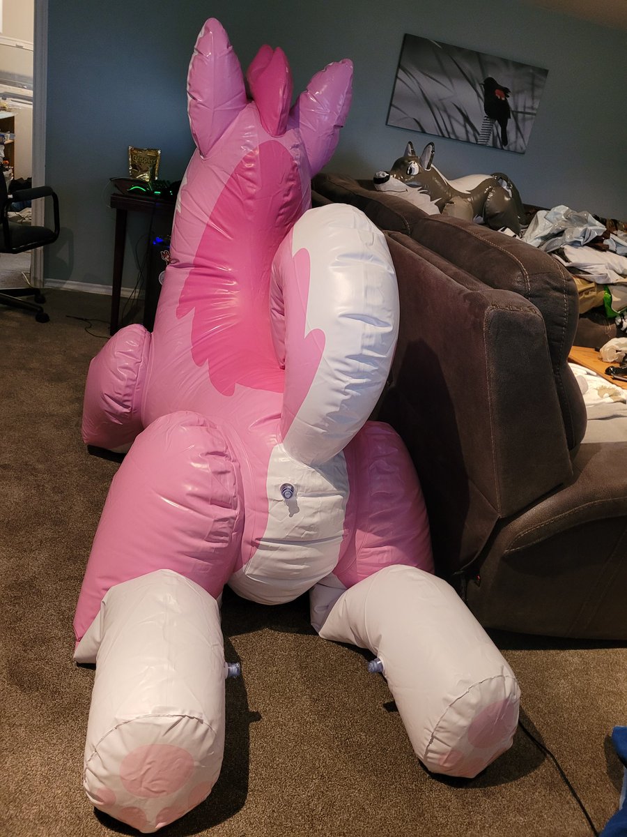 EclipseDurr's tweet image. Inflated the husky for the first time! 

Nothing beats new toy smell!