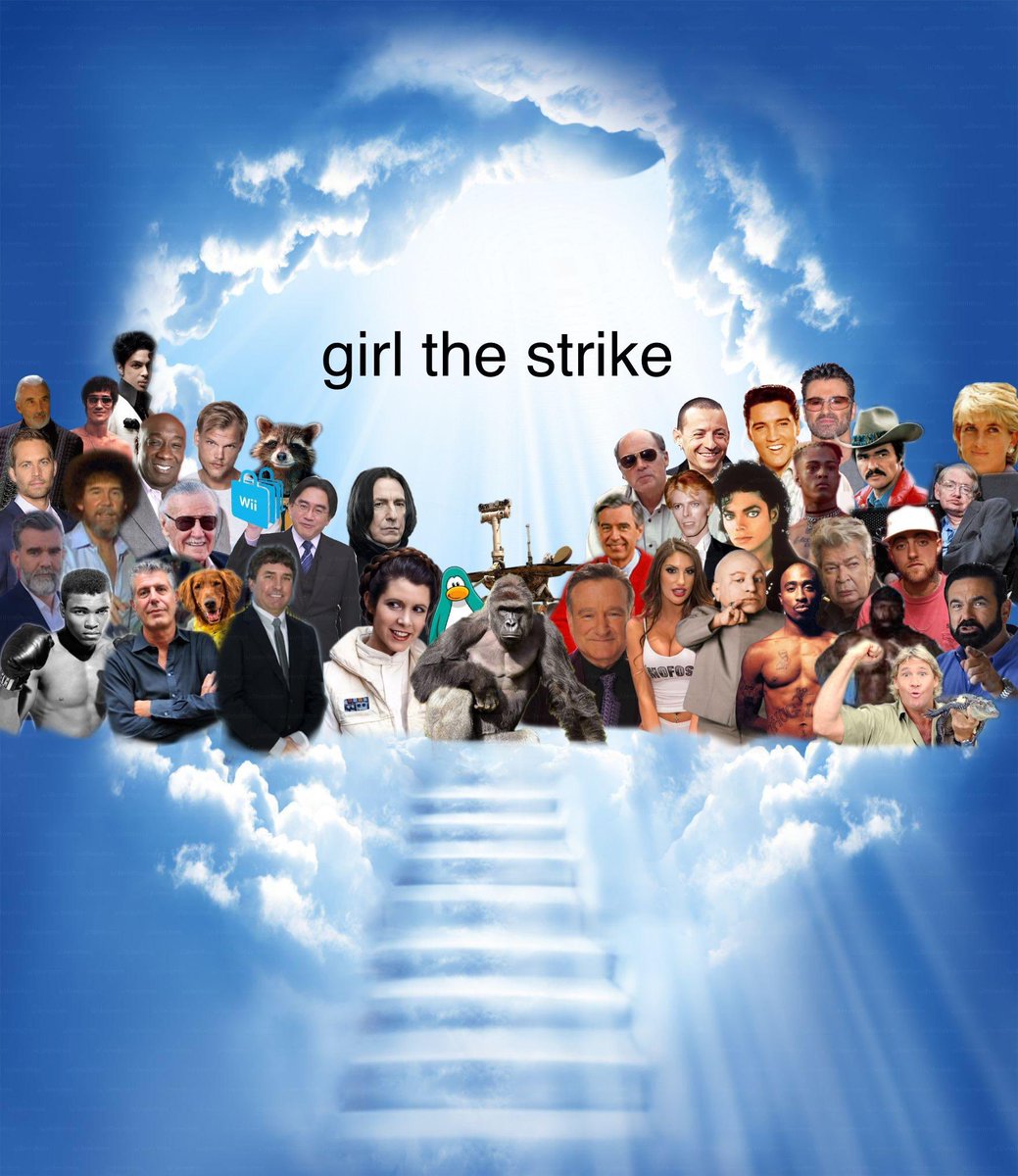 Marlee Forsyth tweet media