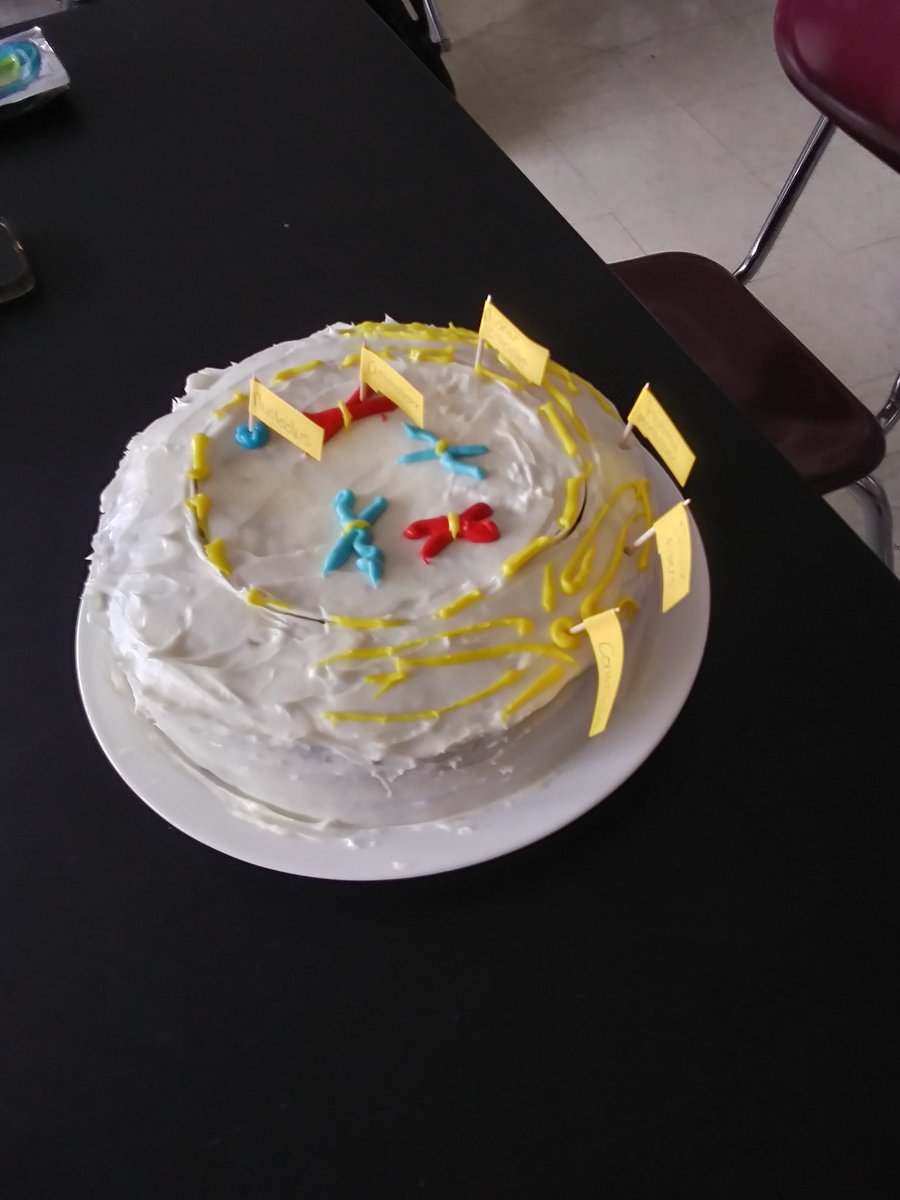 JKWLifeScience's tweet photo. Crazy cell division in dual credit bio class.   The students went way above and beyond to demonstrate stages by creating cakes. https://t.co/AVnaGZkalN