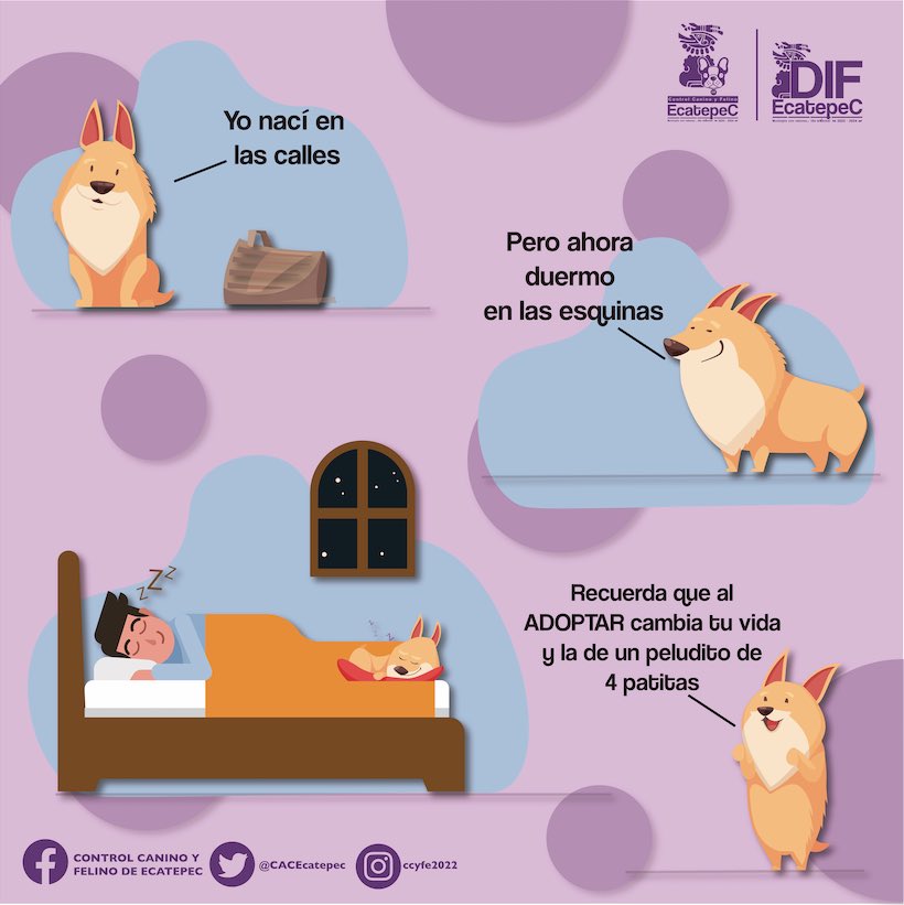 #Adopción | Recuerda que al adoptar cambia tu vida y la de un peludito de cuatro patitas. 🐾💖

#DIFEcatepec #MunicipioConValores