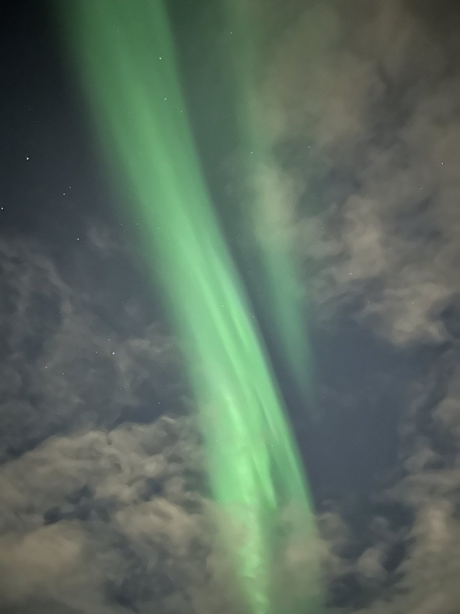 Nil Irvalı tweet media