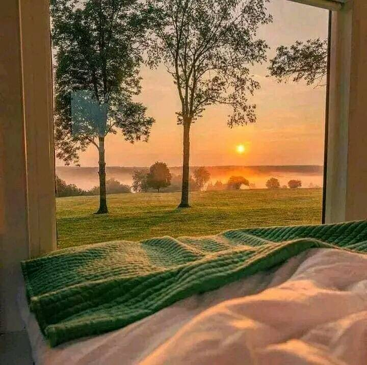 artindetails's tweet photo. oh, to someday wake up in joy and fulfillment. https://t.co/skfWzJJetd