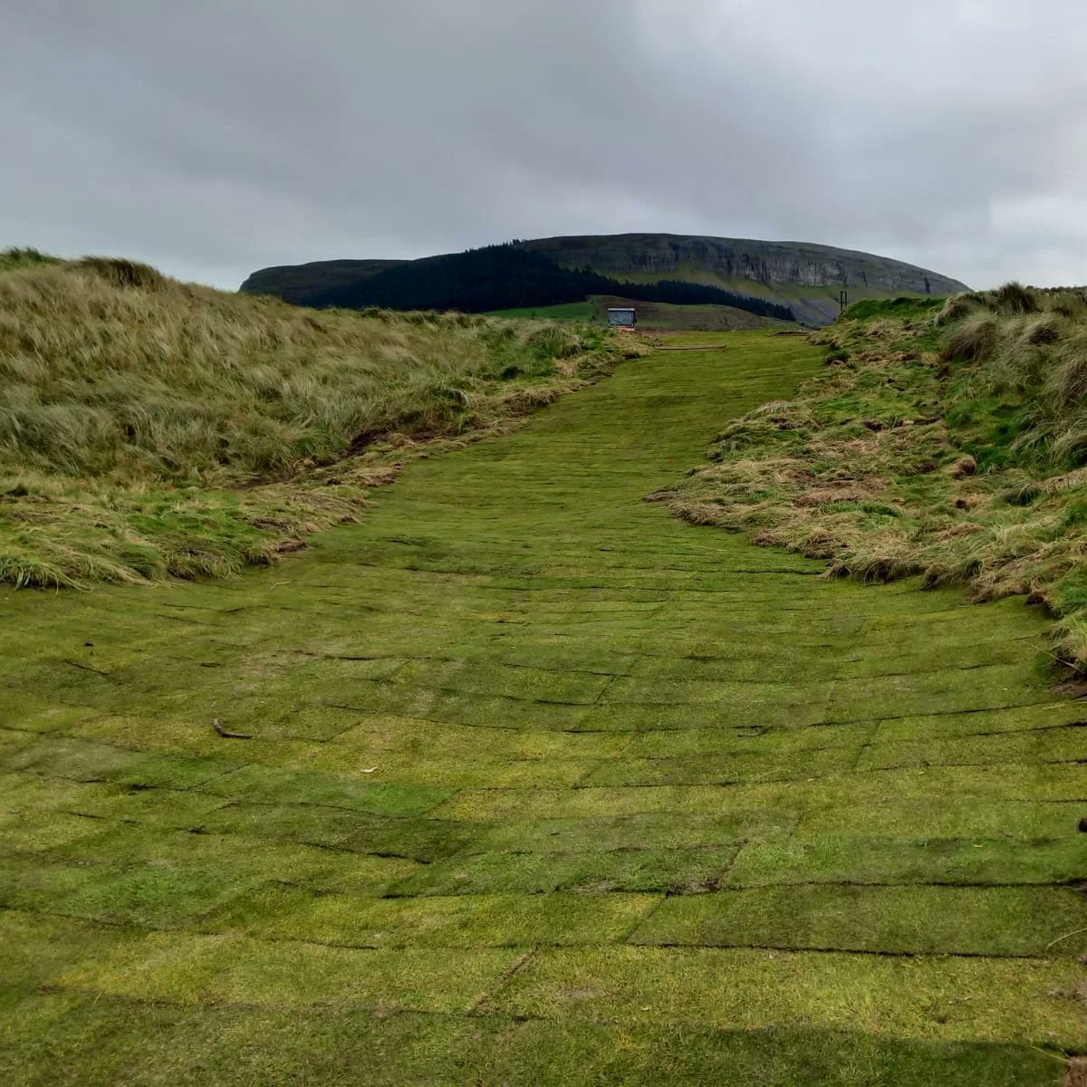 Strandhill_GC's tweet image. The 13th Hole has been upgraded to a grass path and a more forgiving landing zone for shorter hitters. The Eddie Hackett design is looking classier all the time
#golf #coursedesign #Coursework #linksgolf #green #greenkeeper #sligo #Ireland