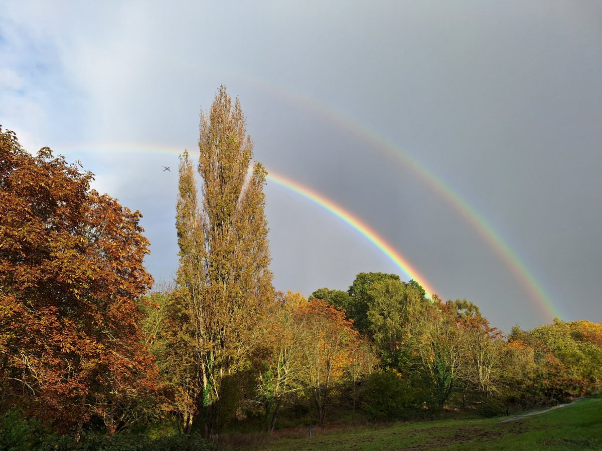 Not a bad view from the lab whilst processing pollen samples. Double rainbow=good slides?