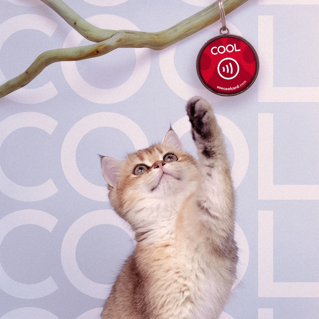 usecoolcard tweet media