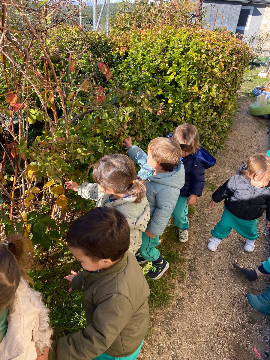 Hemos pintado un árbol 🌳 con los rodillos y como estaba triste y no tenia hojas hemos ido a recoger hojas y se las hemos pegado 😄

#ColegioLosAbetos