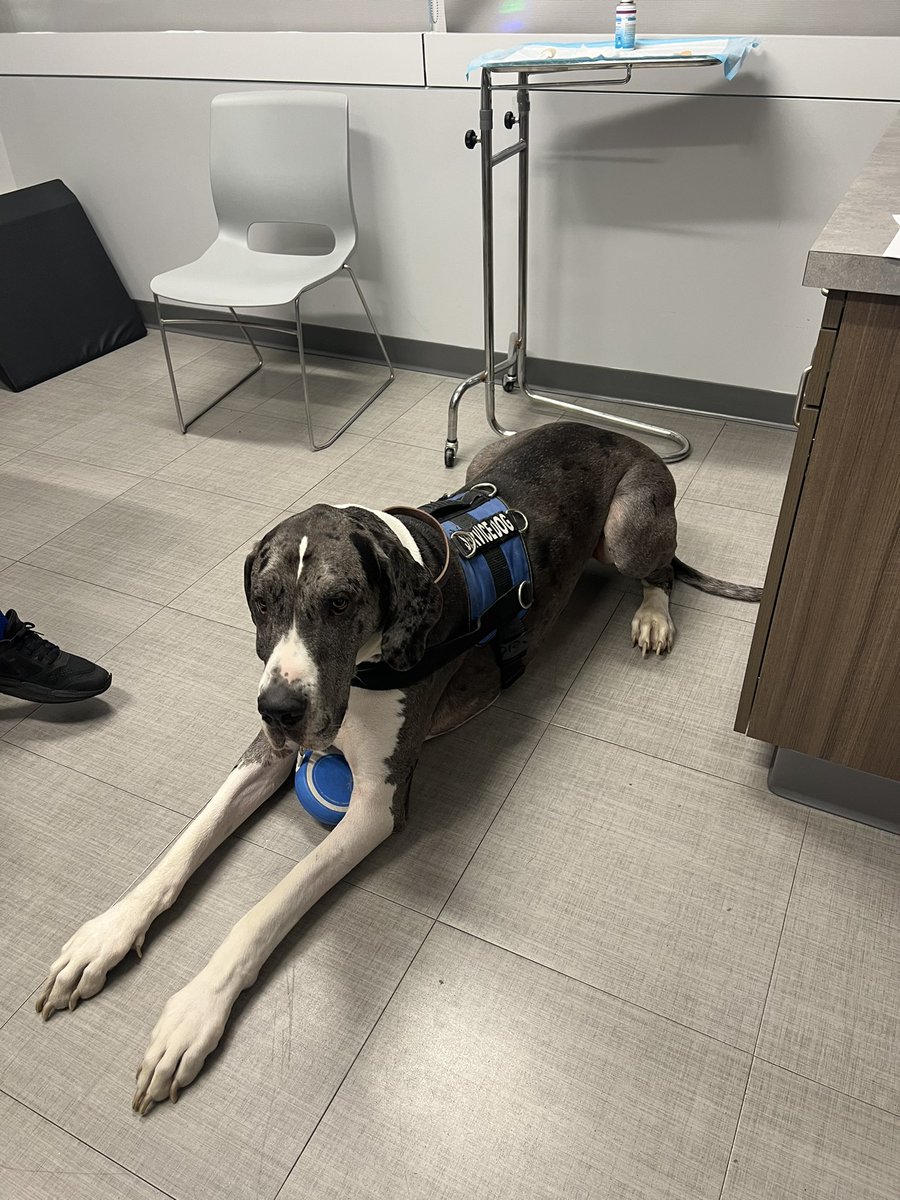 Hector Osoria MD tweet media