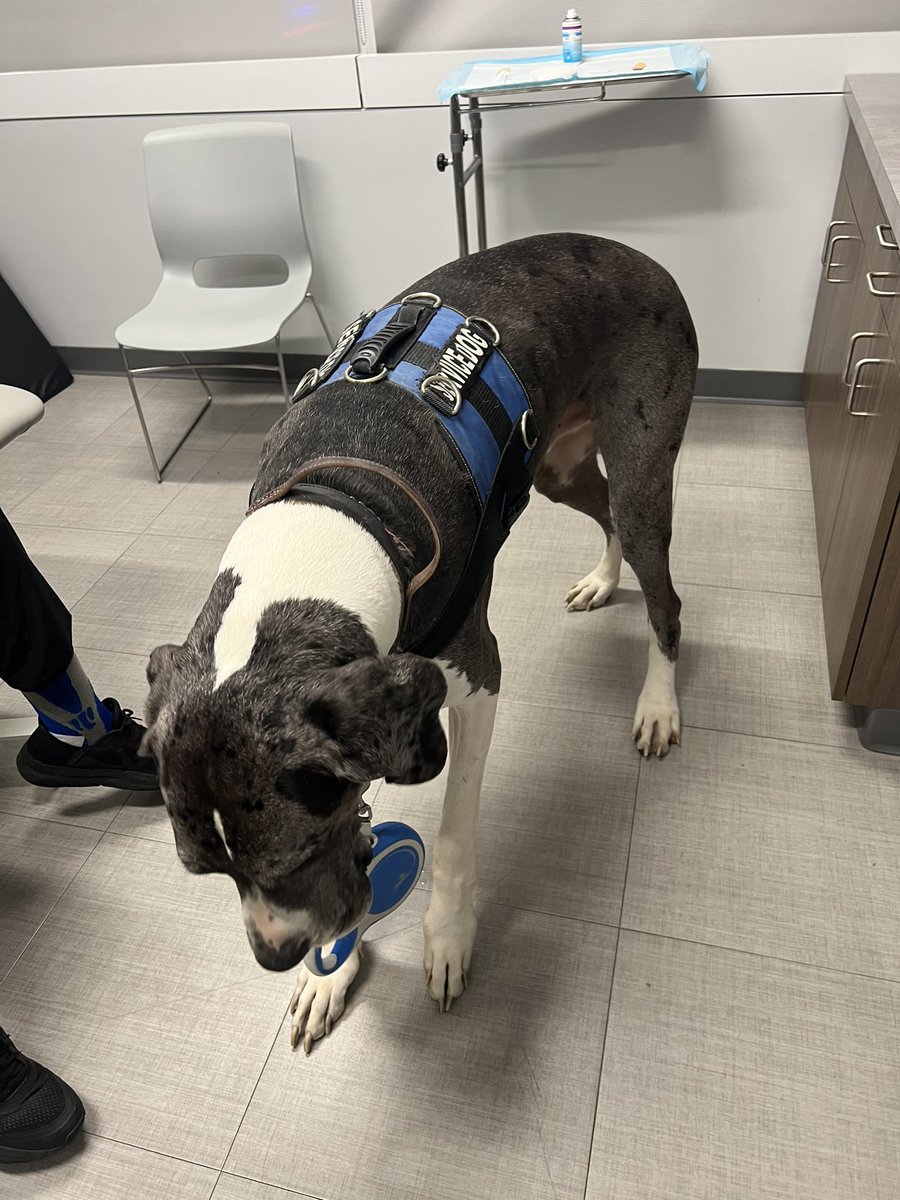 Hector Osoria MD tweet media