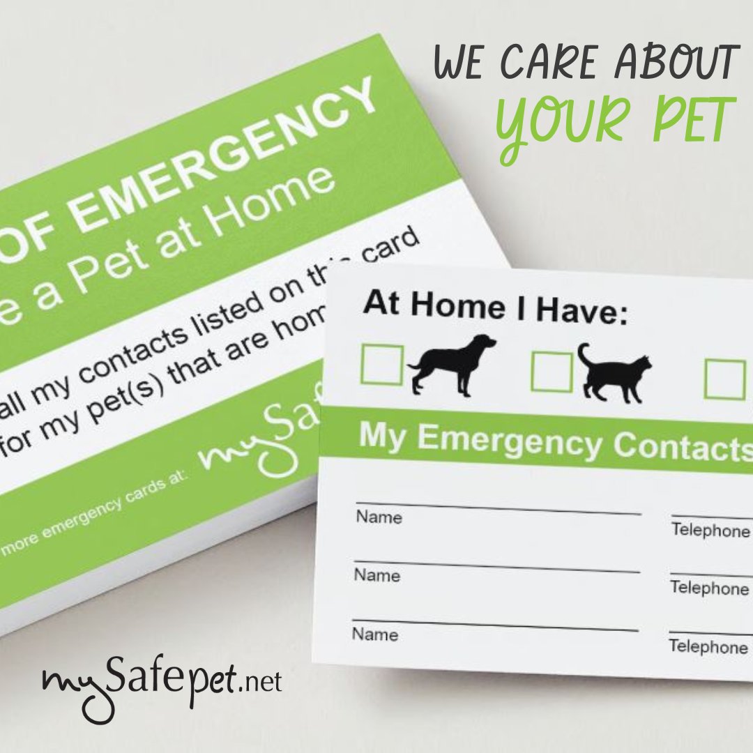 MySafePetNet's tweet image. Our Emergency Contact Wallet Card is a must-have for every #PetParent! 🐕🐱

List up to 3 trusted contacts who&apos;ll care for your pets when you can&apos;t.

LIMITED TIME special deal: #BOGO FREE (a $4.98 value)!

👉 Get yours today: mysafepet.net/products/emerg…

#MySafePet