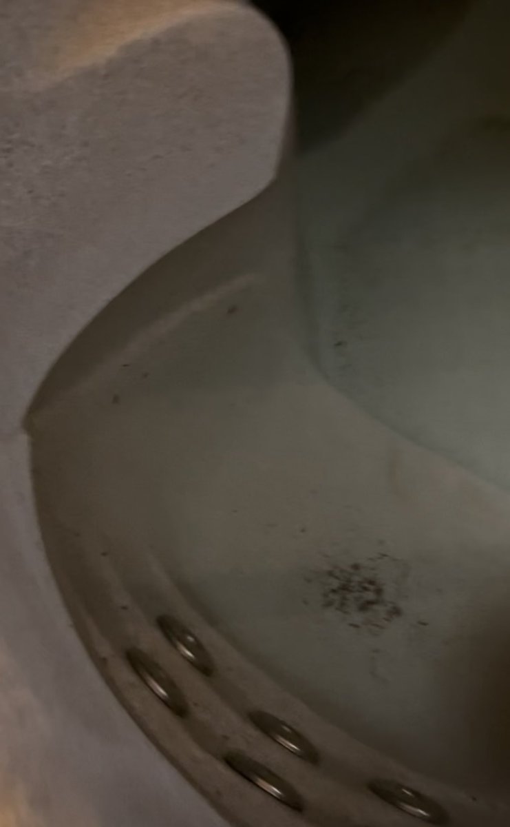 Your Mom tweet media