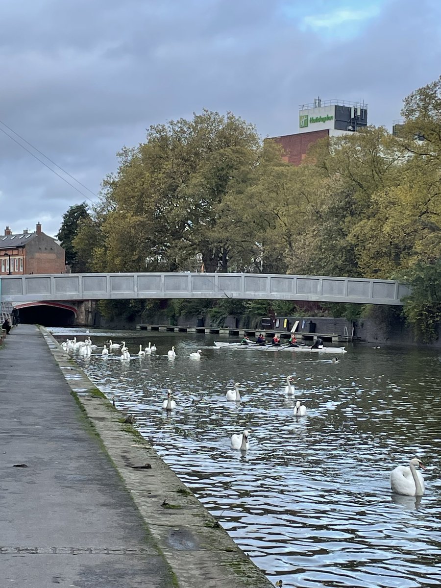 MissPritch's tweet photo. @Jones5Leuven I take your school international XC event and raise you my school local Rowing training! https://t.co/6L3pbY7RRF