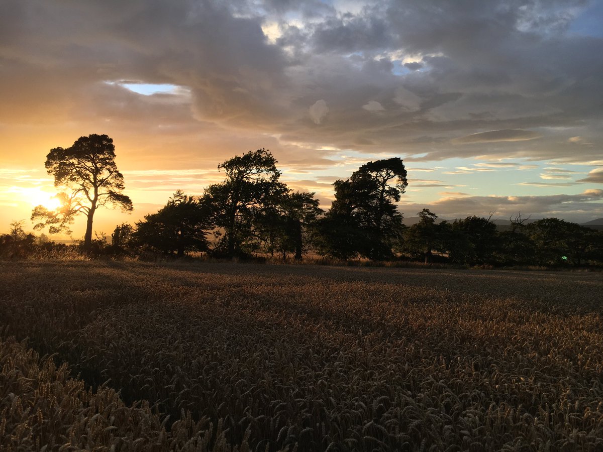 kirstyMTait's tweet photo. Own views

We got handed our Notice to Quit yesterday

While I could rage against the lack of agency, seat at the table &amp; transparency being a secure tenant farmer in land use change faces 

For now my heart is just sore - we never owned the land, but it has owned me #Lamberkin https://t.co/x9pf0rukYe