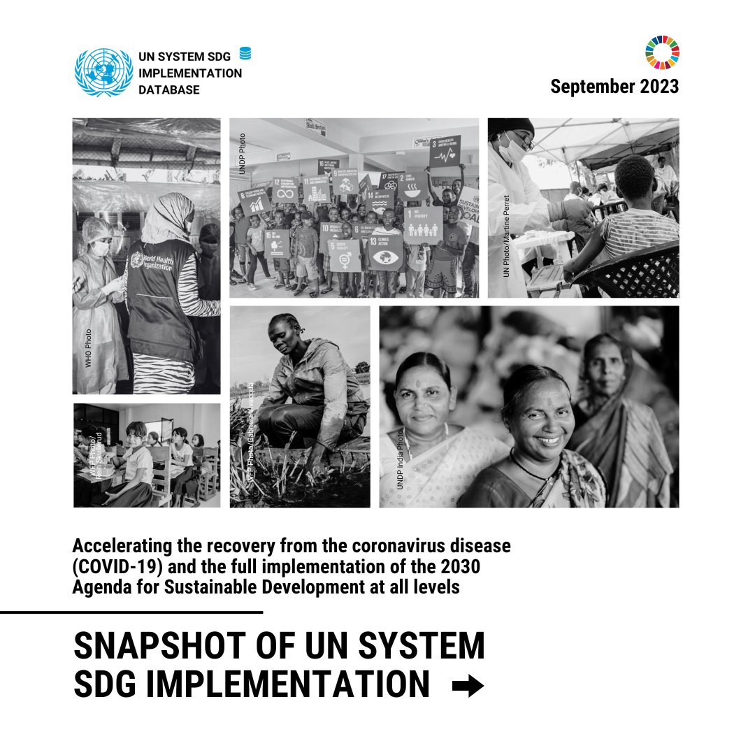 Want to know about the UN System’s initiatives that helped to accelerate the recovery from COVID-19 and the full implementation of the #SDGs?

👉 Read the 2023 snapshot of the UN System SDG Implementation Database: bit.ly/3Rm91VE