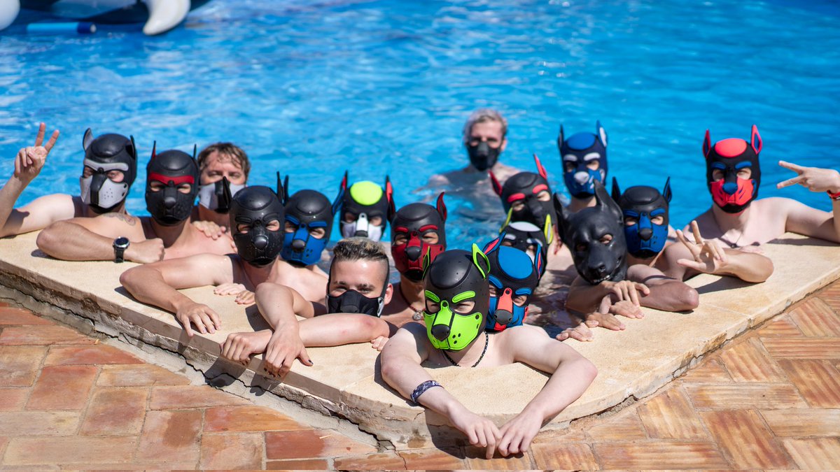 PupMurMur's tweet photo. Look at all these wet good boys 🐶

@PupBropix @Purple_Slutsky @Pup_Dexter_666  @alexJackpup @DooferAD @XeiLionAD @PupKaiser @plooky_AD @Cave_AD @arvi_fox @coda_pup @Darkyhearted https://t.co/GbMFdSQO1l