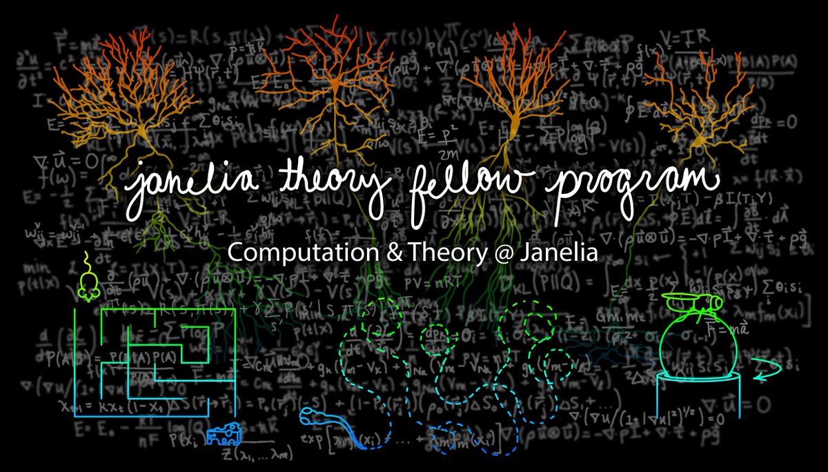HHMIJanelia's tweet image. Apply by Jan. 9 to be a Theory Fellow @HHMIJanelia!
🖥️ Access state-of-the-art computational infrastructure
👩🏽🔬 Collaborate broadly within our #Computation & Theory research area
🧪 Tackle fundamental questions in #biology
More info & application ➡️ janelia.org/our-research/o…