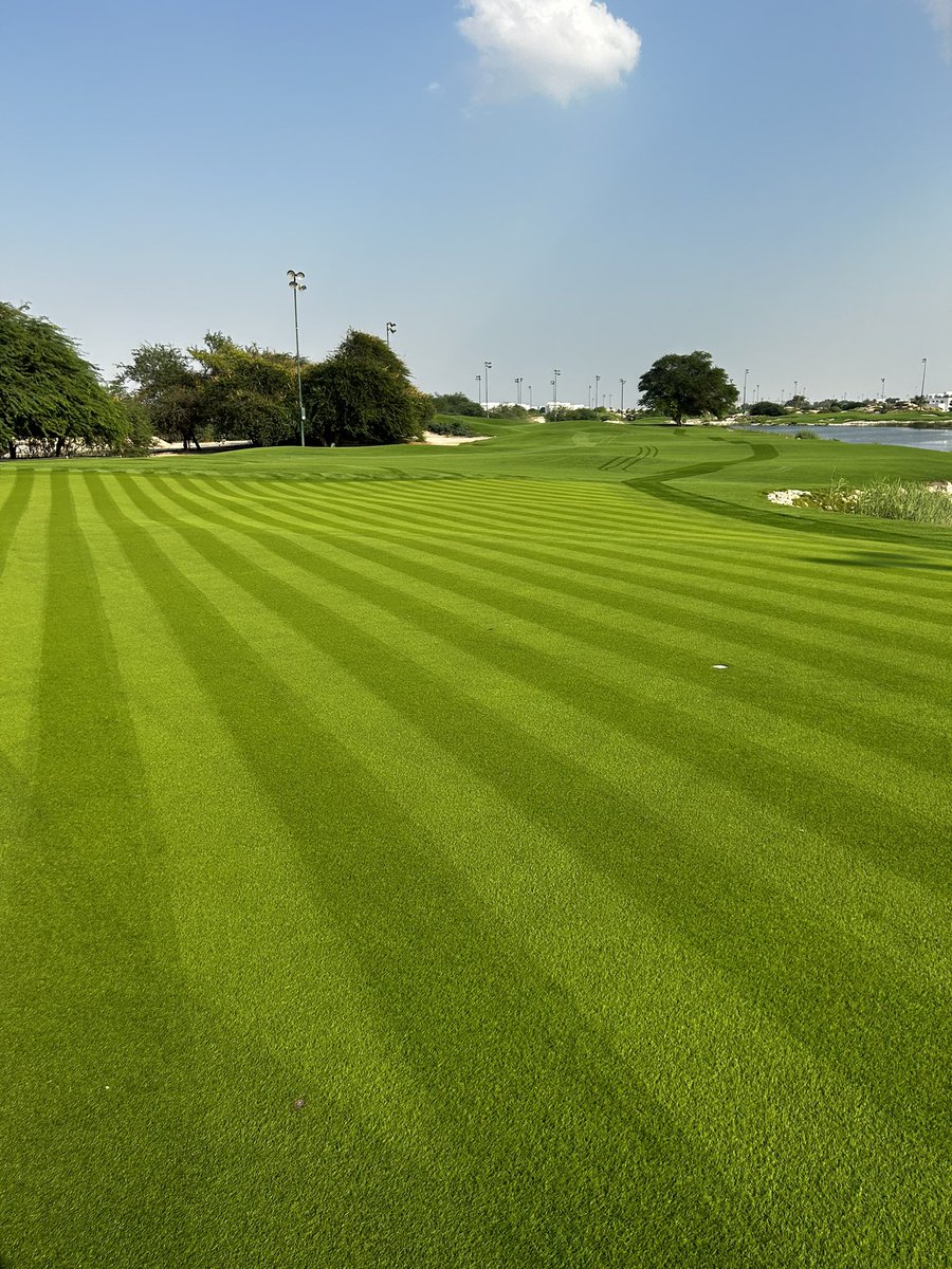 Jamie Faulkner tweet media