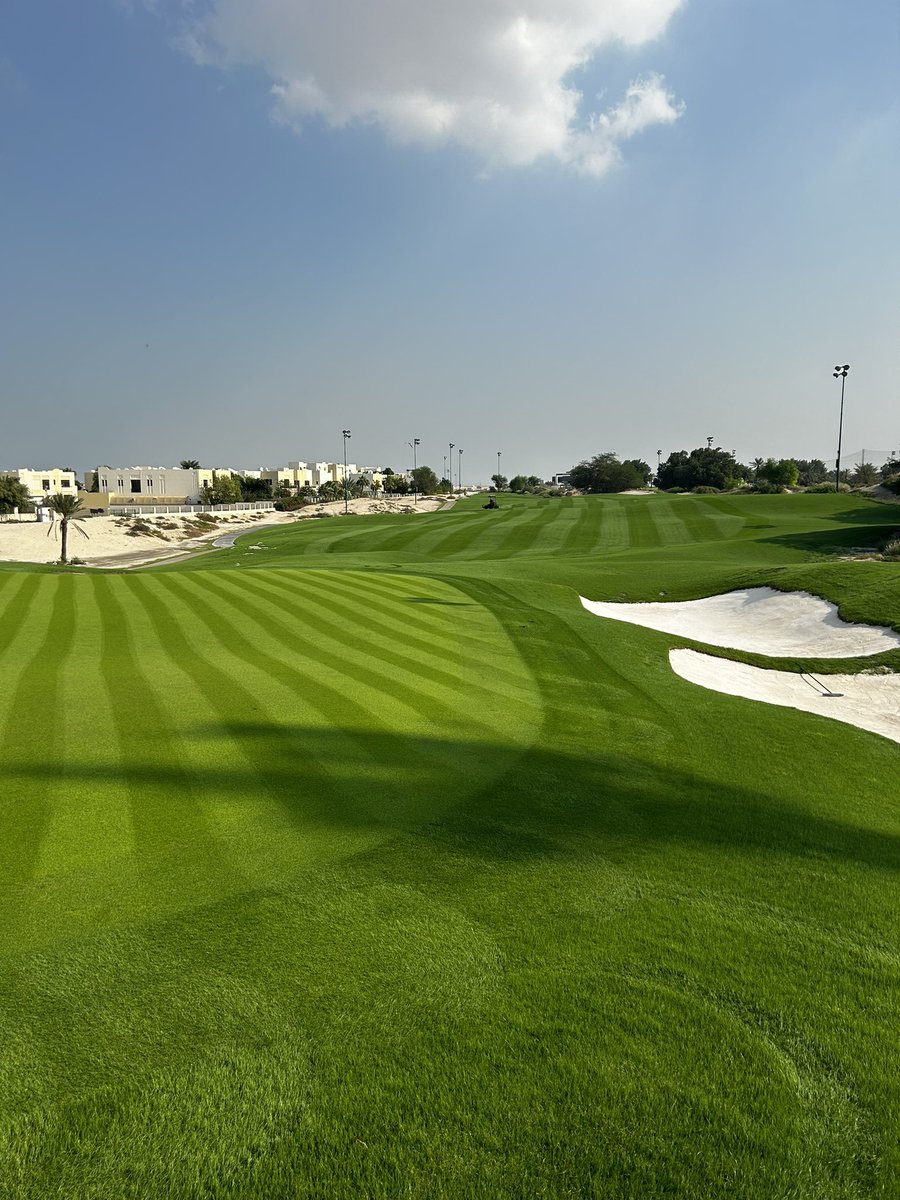 Jamie Faulkner tweet media