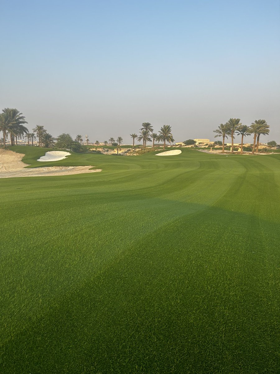 Jamie Faulkner tweet media