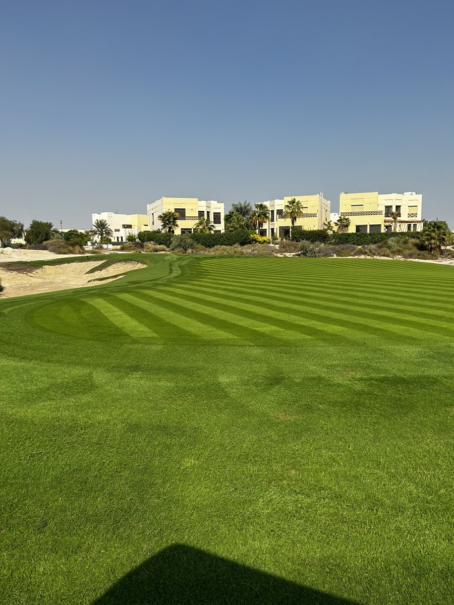 Jamie Faulkner tweet media