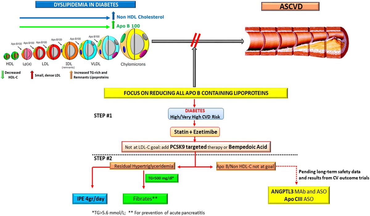 The Heart tweet media