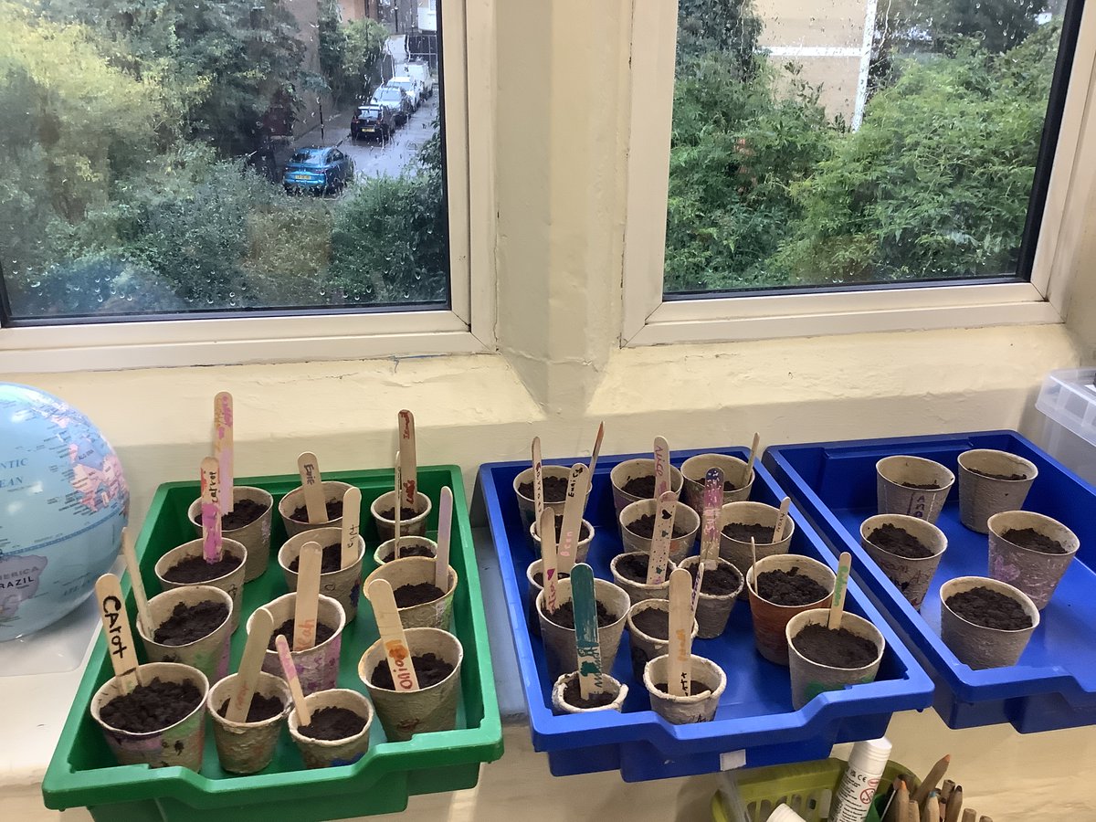 We enjoyed our seed planting session with the #UrbanGrowth team last week and are excited to watch as our seeds grow into fruit and vegetables!