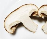 「どうでもいいけど、猫の鼻ってしいたけの断面だよね」|黒丸【ｸﾛｻｷﾞ再起動】発売中‼ 【東ｻﾗ】準備中🥗のイラスト