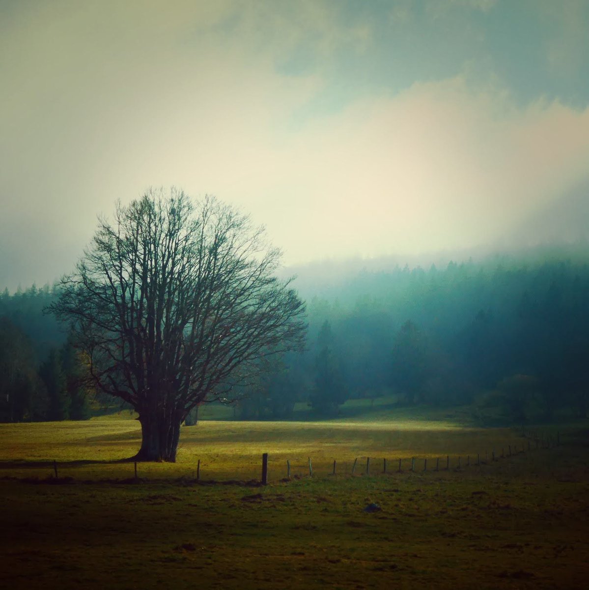 wongsusie (@withnomoney) on Twitter photo 