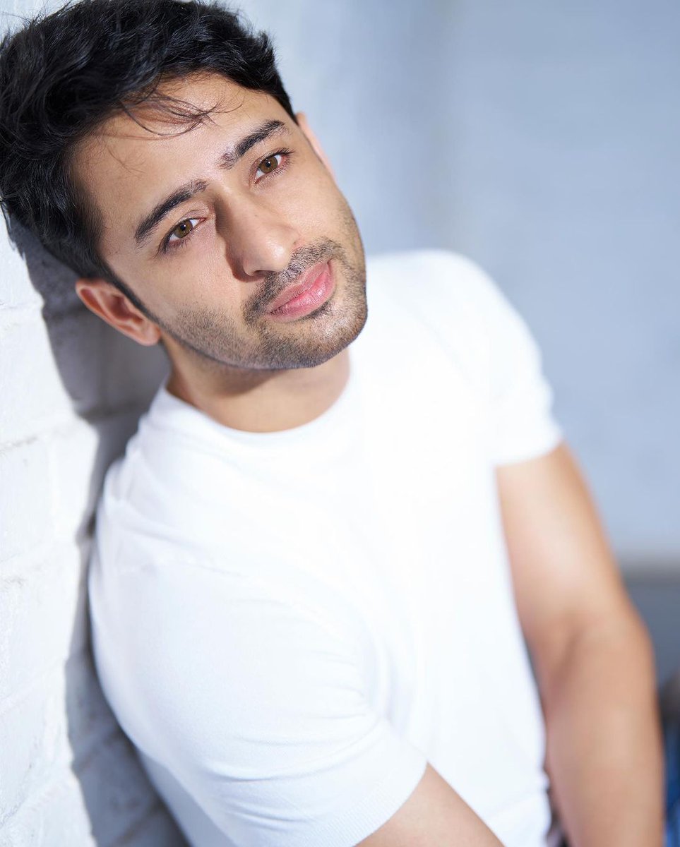SnsTanuja's tweet photo. - haayeeeee 😩😩🧿🧿❤️❤️

#ShaheerSheikh #Birdies https://t.co/T5y3Vqf9El
